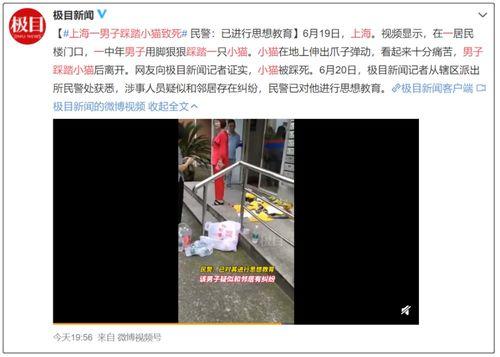 爆料踩踏动物视频,揭秘网络传播的踩踏动物视频事件 第3张 爆料踩踏动物视频,揭秘网络传播的踩踏动物视频事件 第3张